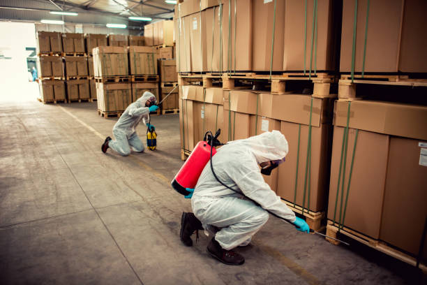 Best Wasp Removal Services  in Muscoy, CA