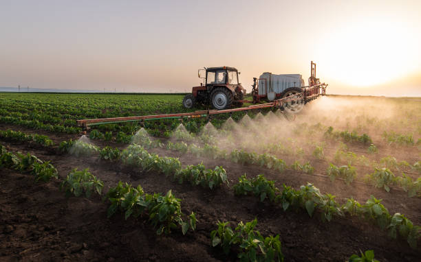 Best Insect Control  in Muscoy, CA