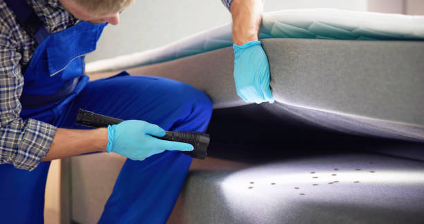 Best Emergency Pest Control  in Muscoy, CA