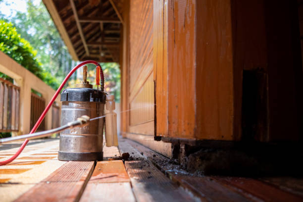 Pest Prevention Services in Muscoy, CA